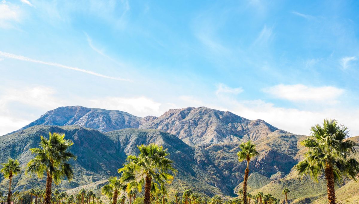 shutterstock_1770809081 | Oranj Palm Vacation Homes landscape view