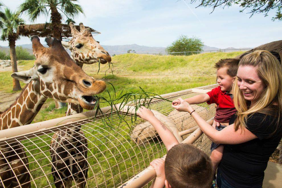 The Living Desert - Palm Desert